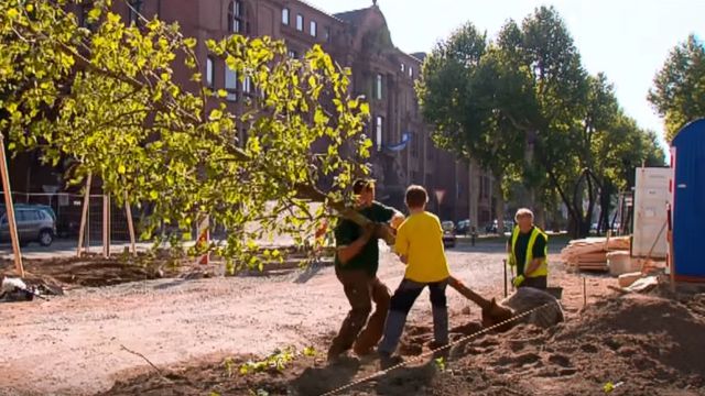 Ausbildung zum Landschaftsgärtner