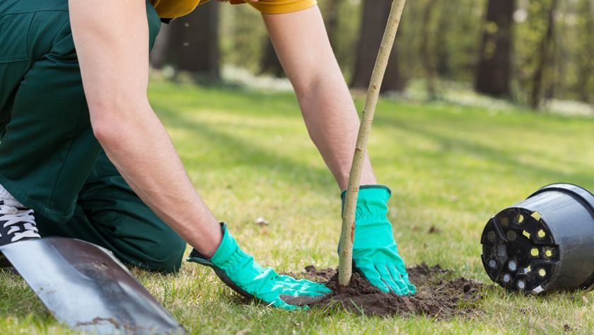 Leistungen Schulz-Gartenservice