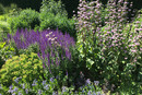 Blumenbeet