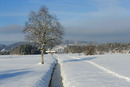 Winterlandschaft