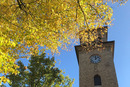 Herbstblätter