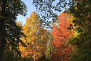 Herbstfarben